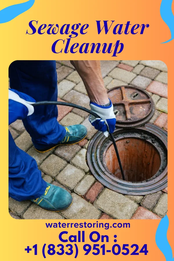 Sewage Water Cleanup in Barnett, MO
